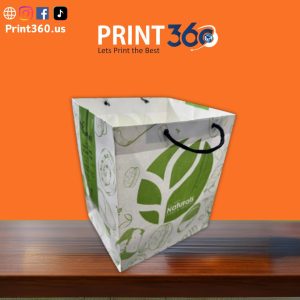 Organic Store Paper Bag 10x12x8